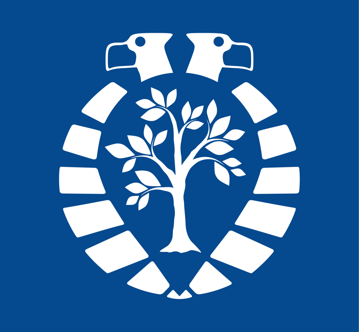 Arnhem Klimaatbestendig gemeente arnhem klimaat grafisch ontwerp dana dijkgraaf DDD logo