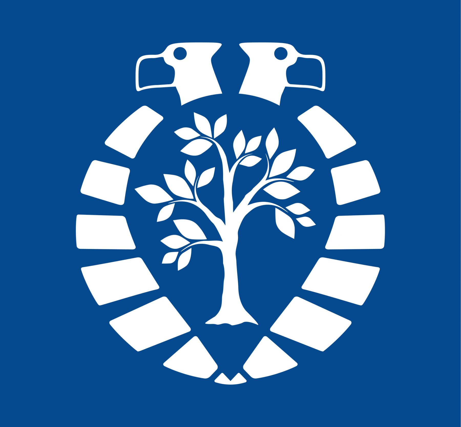 Arnhem Klimaatbestendig gemeente arnhem klimaat grafisch ontwerp dana dijkgraaf DDD logo