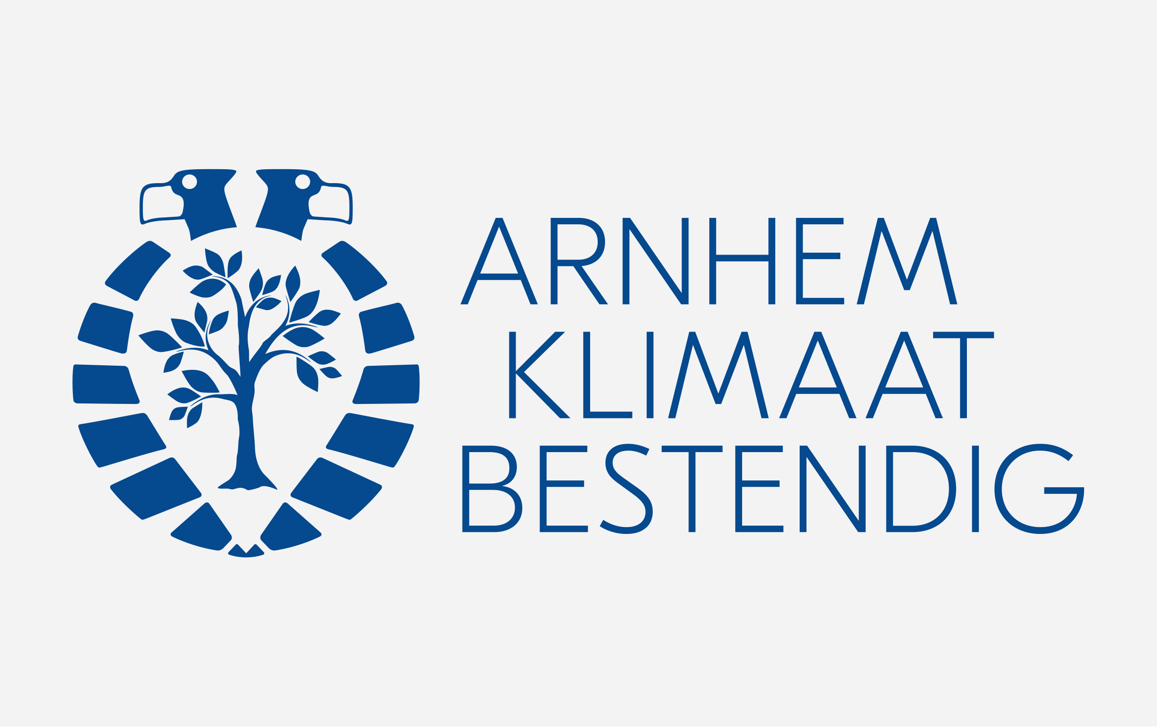 Arnhem Klimaatbestendig gemeente arnhem klimaat grafisch ontwerp dana dijkgraaf DDD logo