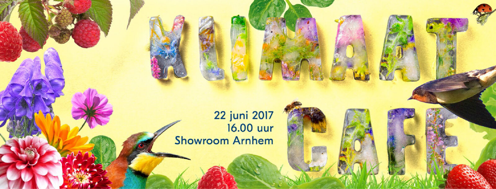 Arnhem Klimaatbestendig gemeente arnhem klimaat grafisch ontwerp dana dijkgraaf DDD natuur ijsletters
